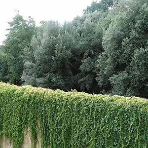  Appartamento Un'angolo Incantato